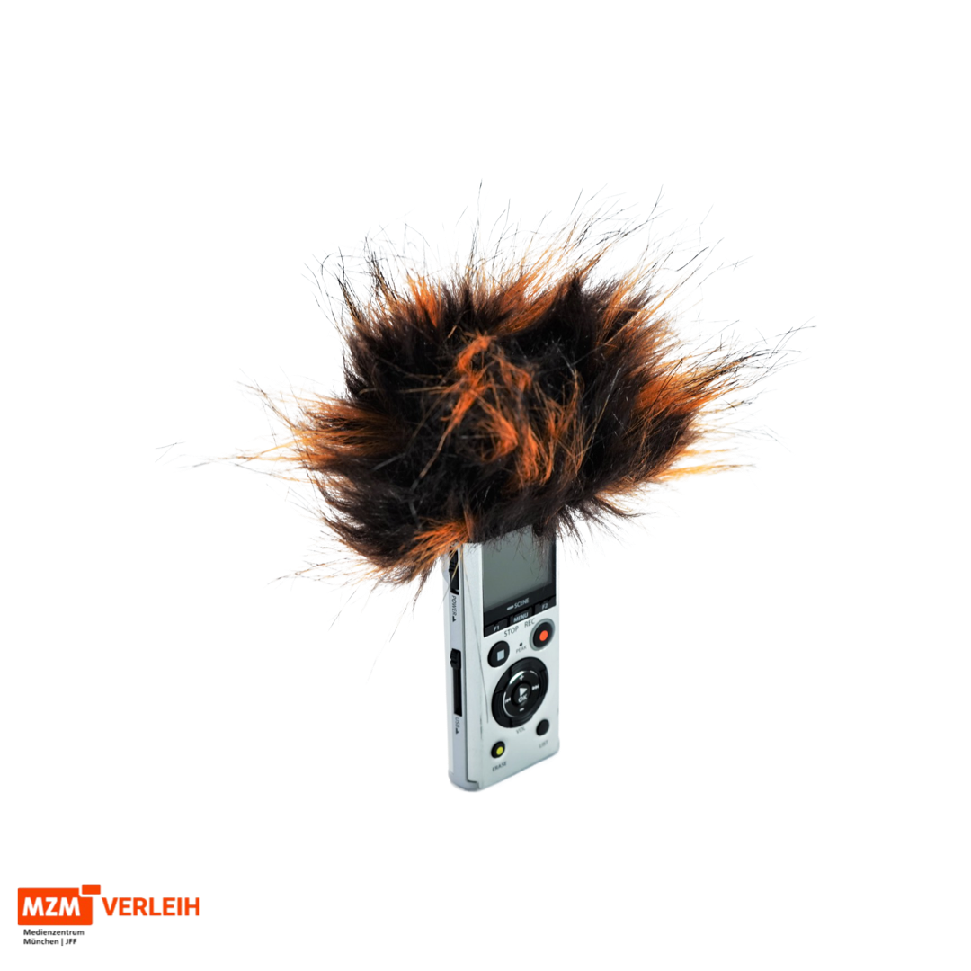 Olympus LS-P1 Audiorekorder/Aufnahmegerät – Bild 3
